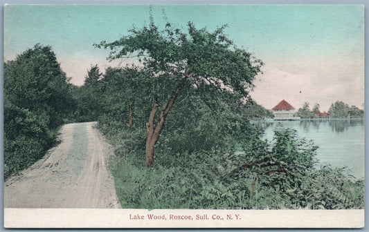 ROSCOE SULL CO. NY LAKE WOOD ANTIQUE POSTCARD