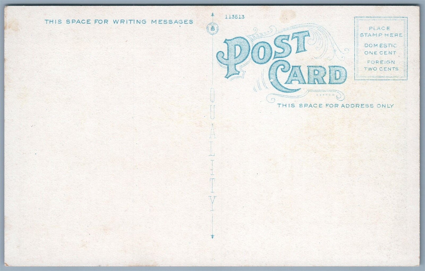 CAIRO CATSKILL MTS NY HOTEL WALTERS ANTIQUE POSTCARD