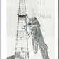 EXAGGERATED HUGE LOCUST THE INSPECTOR 1953 VINTAGE POSTCARD