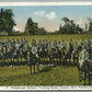 PLATTSBURGH NY MILITARY TRAINING CAMP CAVALRY DRILL ANTIQUE POSTCARD