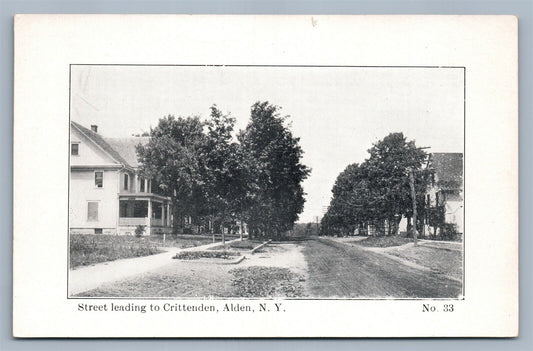 ALDEN NY STREET TO CRITTENDEN ANTIQUE POSTCARD