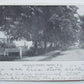 ANTIQUE 1905 UNDIVIDED POSTCARD CHATHAM STREET NASSAU NEW YORK N.Y.