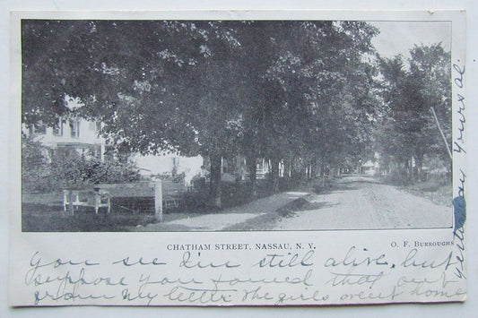 ANTIQUE 1905 UNDIVIDED POSTCARD CHATHAM STREET NASSAU NEW YORK N.Y.