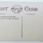 CONEMAUGH RIVER IN THE PACKSADDLE PA ANTIQUE POSTCARD