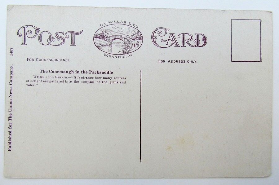 CONEMAUGH RIVER IN THE PACKSADDLE PA ANTIQUE POSTCARD