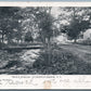 LIVINGSTON MANOR NY TROUT STREAM UNDIVIDED 1906 ANTIQUE POSTCARD