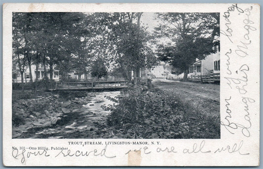 LIVINGSTON MANOR NY TROUT STREAM UNDIVIDED 1906 ANTIQUE POSTCARD