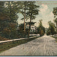 EAGLES MERE PARK PA STREET SCENE ANTIQUE POSTCARD