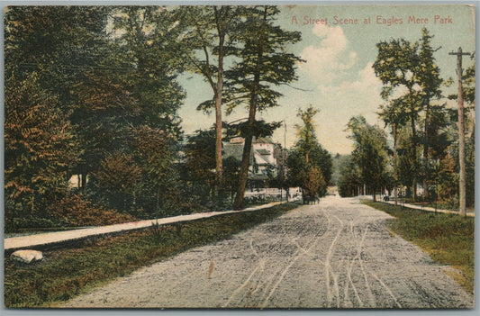 EAGLES MERE PARK PA STREET SCENE ANTIQUE POSTCARD