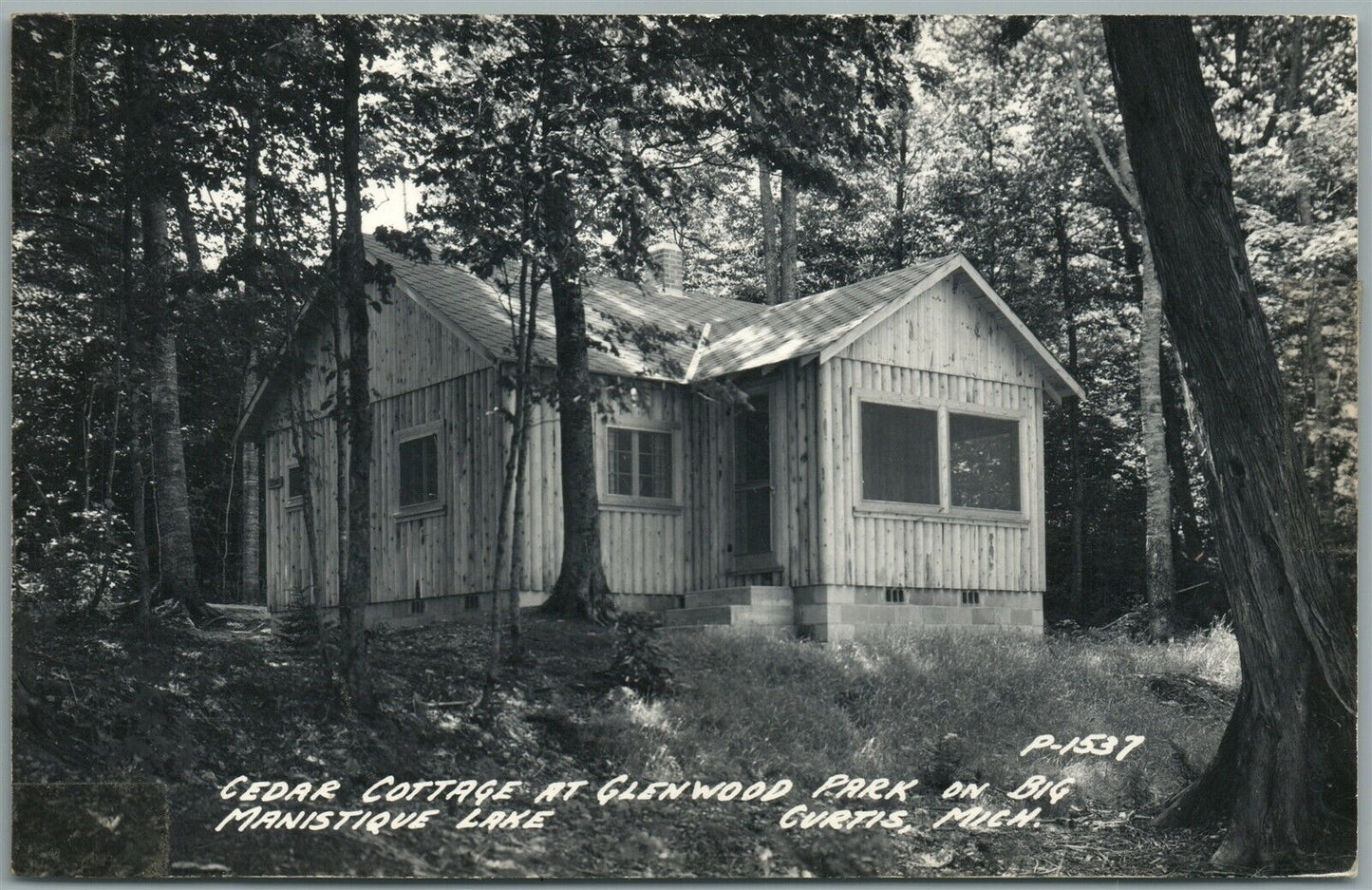 CURTIS MI GLENTWOOD PARK CEDAR COTTAGE VINTAGE REAL PHOTO POSTCARD RPPC