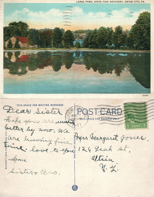 UNION CITY PA LARGE POND STATE FISH HATCHERY 1941 VINTAGE POSTCARD