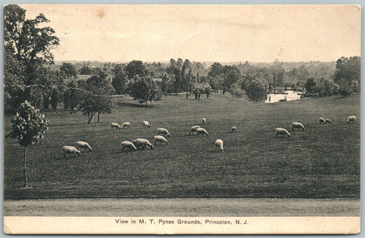 PRINCETON NJ M.T. PYNES GROUNDS 1909 ANTIQUE POSTCARD w/ CORK CANCEL