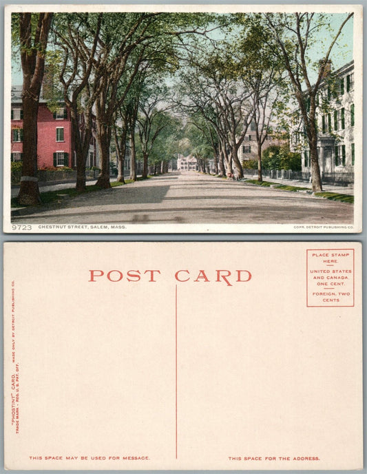 SALEM MA CHESTNUT STREET ANTIQUE POSTCARD