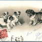 CUTE DOGS FRENCH ANTIQUE POSTCARD