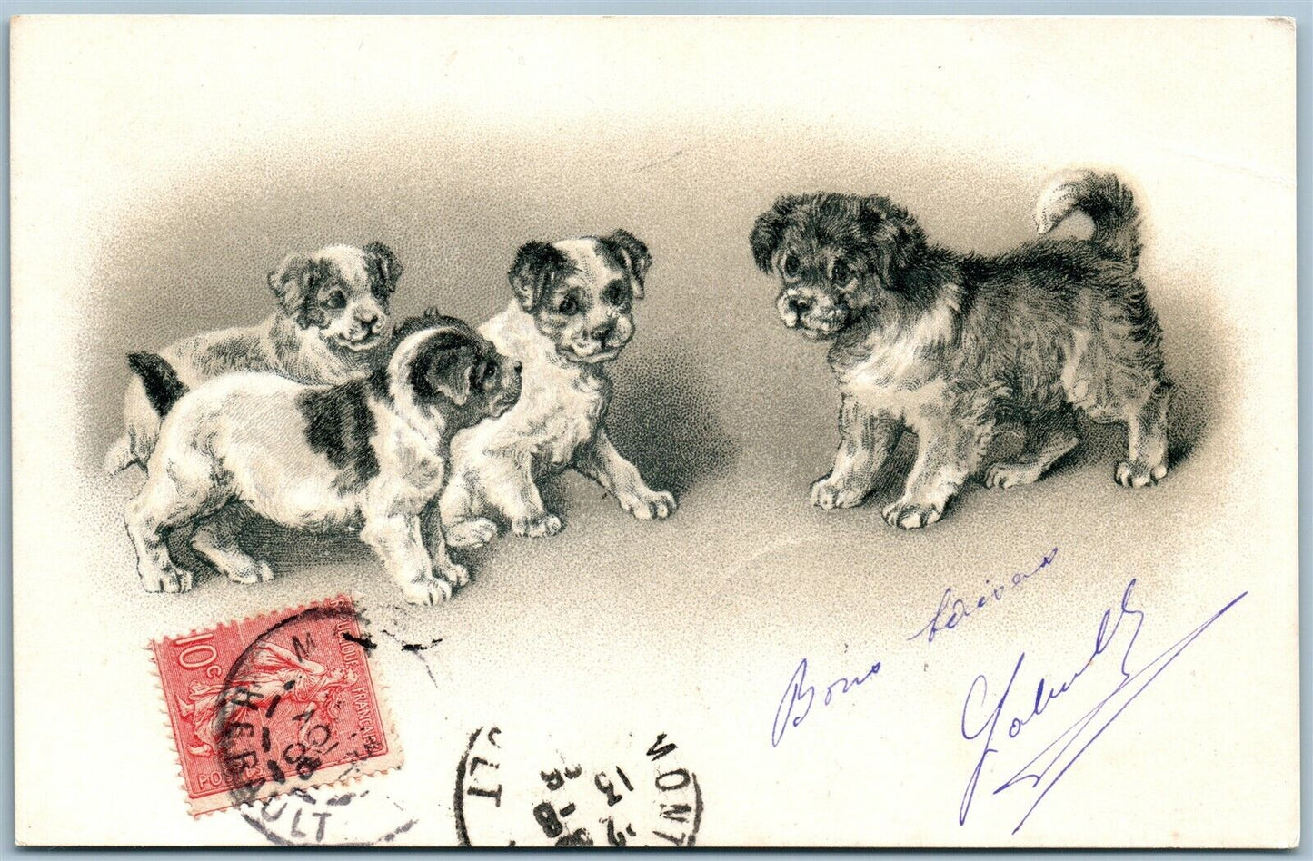 CUTE DOGS FRENCH ANTIQUE POSTCARD