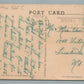 SOUTH BRANCH NJ PINE TERRACE VINTAGE POSTCARD
