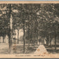 DEXTER NY WILLIAMS STREET ANTIQUE POSTCARD