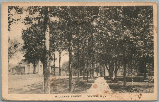 DEXTER NY WILLIAMS STREET ANTIQUE POSTCARD