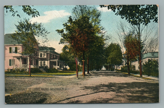 WESTFIELD NJ PROSPECT STREET ANTIQUE POSTCARD