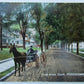 VINTAGE 1910 POSTCARD GROVE STREET SOUTH MIDDLETOWN NY