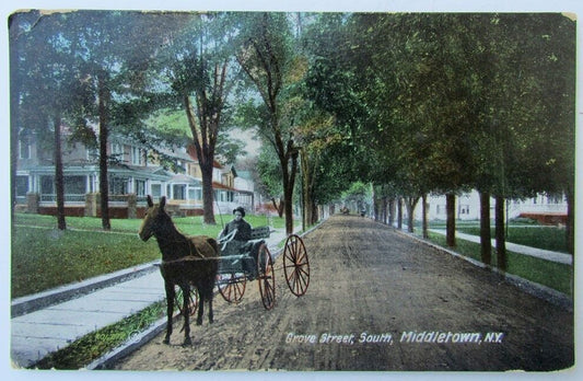 VINTAGE 1910 POSTCARD GROVE STREET SOUTH MIDDLETOWN NY