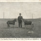 WORLD'S SMALLEST HORSES TOM THUMB & ADMIRAL DOT 1907 UNDIVIDED ANTIQUE POSTCARD