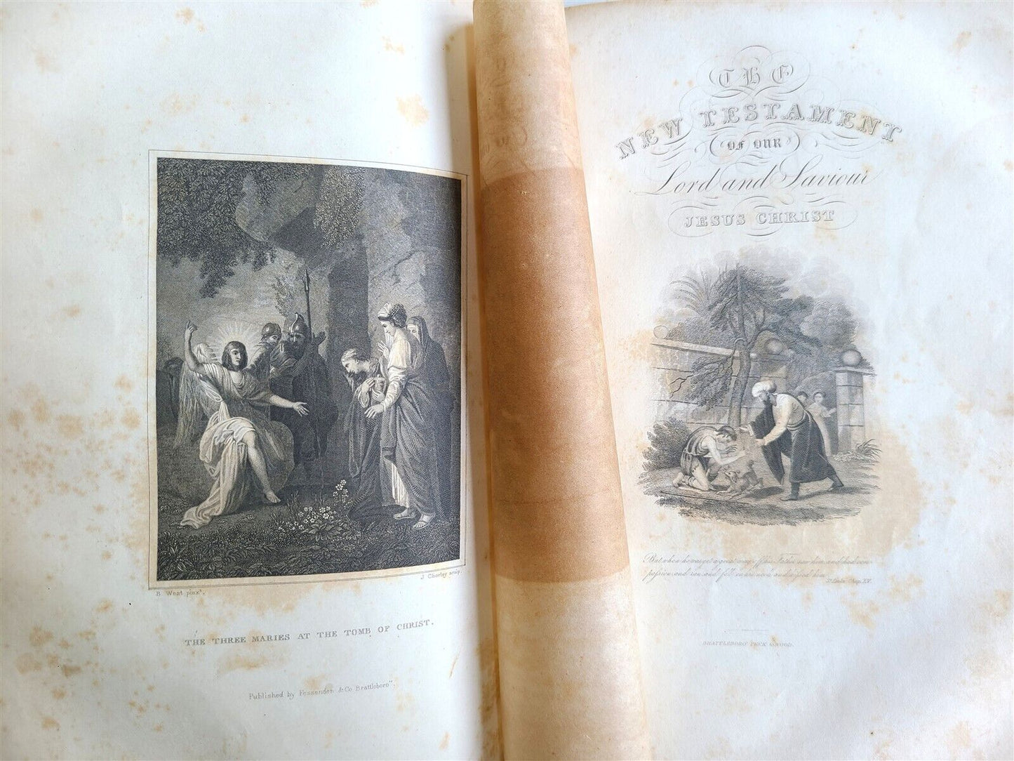 1838 BIBLE POLYGLOTT in ENGLISH antique AMERICANA Brattleboro ILLUSTRATED