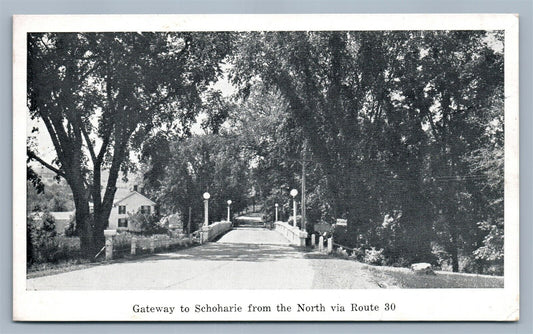 SCHOHARIE NY GATEWAY ANTIQUE POSTCARD