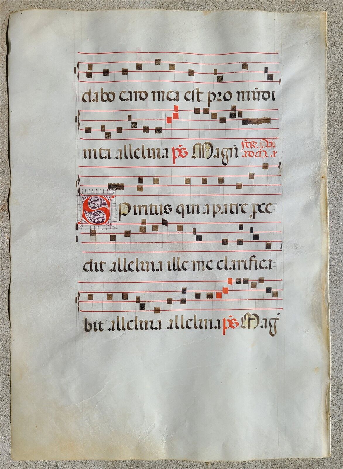 16th - 17th century ANTIPHONAL CHART MANUSCRIPT on VELLUM antique music score