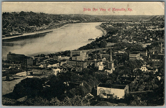 MAYSVILLE KY BIRDS EYE VIEW ANTIQUE POSTCARD