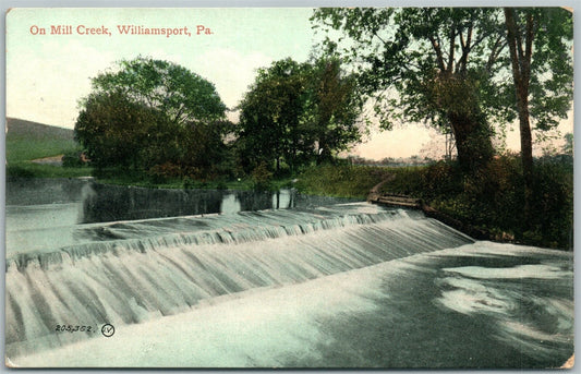 WILLIAMSPORT PA MILL CREEK 1908 ANTIQUE POSTCARD