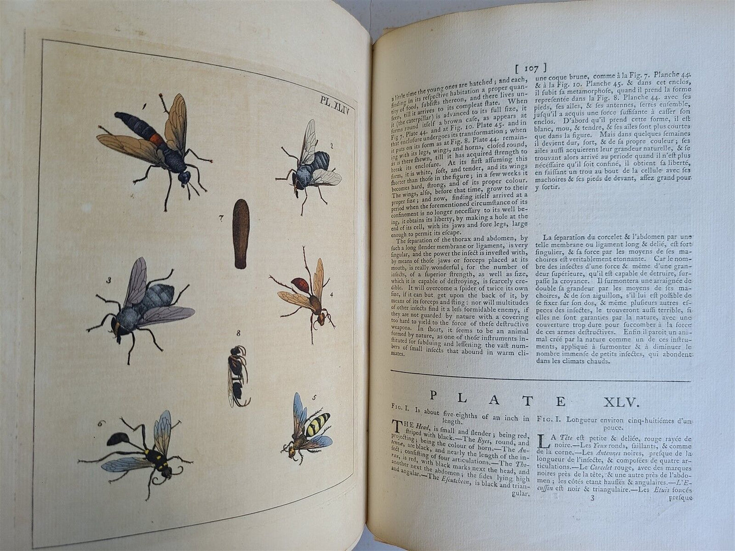 1770 ILLUSTRATIONS of NATURAL HISTORY of EXOTIC INSECTS by D.DRURY antique RARE