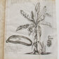 1682 HISTORY of ETHIOPIA KINGDOM OF ABESSINIA ILLUSTRATED antique in ENGLISH