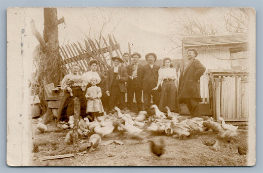 CHICKENS & DUCKS FEEDING FARMING ANTIQUE REAL PHOTO POSTCARD RPPC