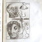 1717 2 VOLUMES ANATOMY ILLUSTRATED CORPORIS HUMANI ANATOMIAE antique in LATIN