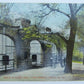 VINTAGE POSTCARD - BEAR PITS AT ZOO CINCINNATI OHIO