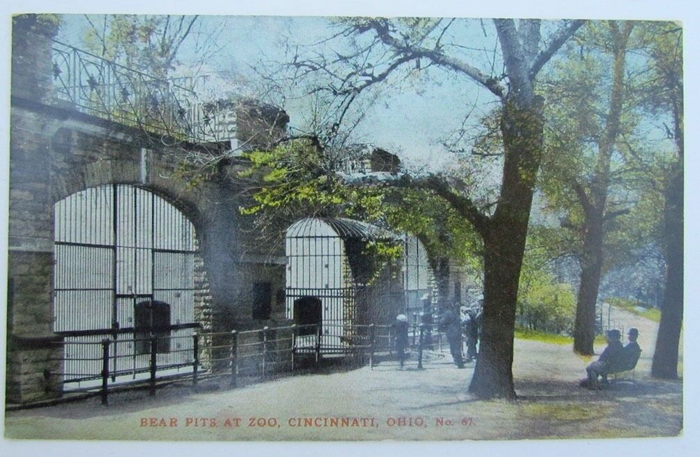 VINTAGE POSTCARD - BEAR PITS AT ZOO CINCINNATI OHIO