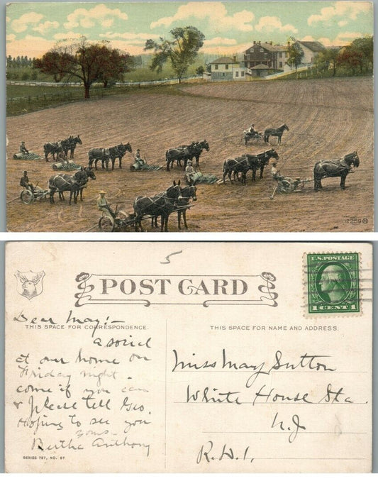 FARM SCENE w/ MULE TEAMS ANTIQUE POSTCARD