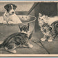 CATS PLAYING w/ DOG ANTIQUE POSTCARD