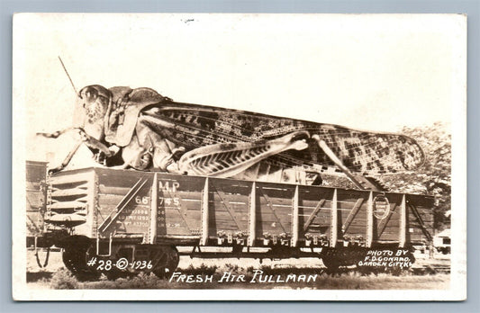 EXAGGERATED GRASSHOPPER VINTAGE REAL PHOTO POSTCARD RPPC FRESH AIR PULLMAN