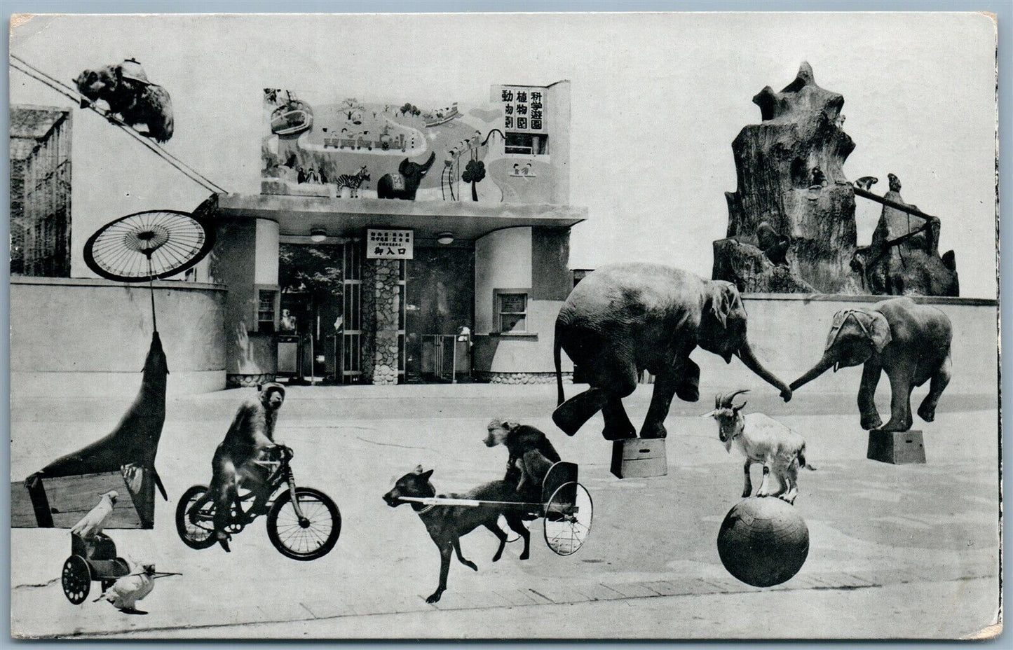 VINTAGE JAPANESE COLLAGE REAL PHOTO POSTCARD RPPC CIRCUS ANIMALS BICYCLE