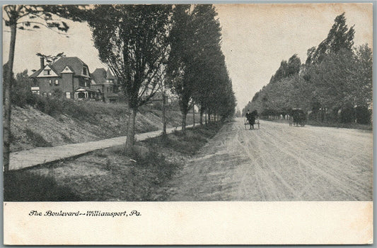 WILLIAMSPORT PA THE BOULEVARD ANTIQUE POSTCARD