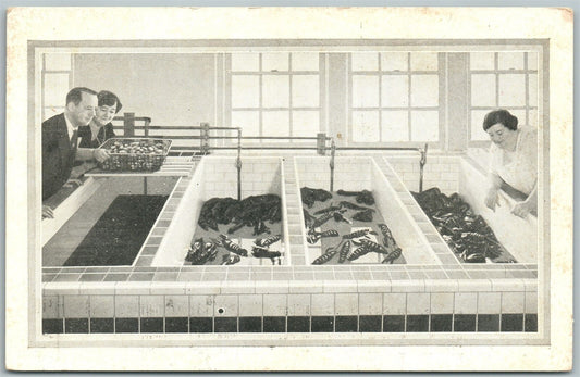 ATLANTIC CITY NJ HACKNEY'S SEA FOOD RESTAURANT ADVERTISING ANTIQUE POSTCARD