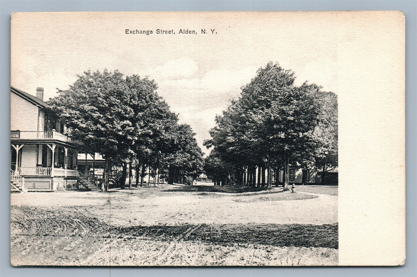 ALDEN NY EXCHANGE STREET ANTIQUE POSTCARD