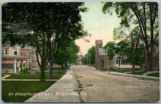 MEADVILLE PA CHESTNUT STREET ANTIQUE POSTCARD