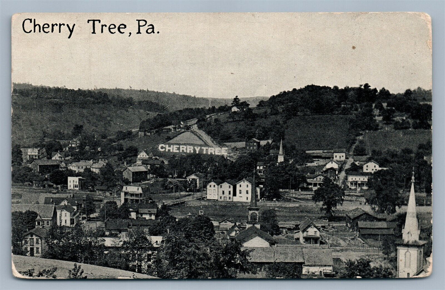 CHERRY TREE PA ANTIQUE POSTCARD