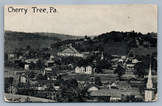 CHERRY TREE PA ANTIQUE POSTCARD