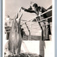 MARINELAND FL FEEDING A PORPOISE VINTAGE REAL PHOTO POSTCARD RPPC