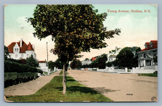 HALIFAX NS CANADA YOUNG AVENUE ANTIQUE POSTCARD