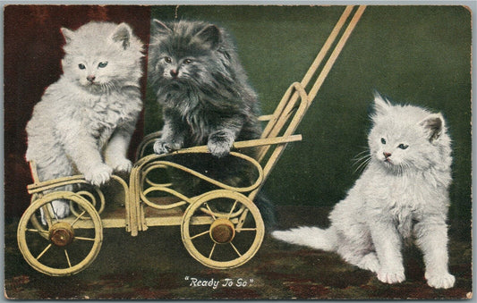 CUTE KITTENS READY TO GO ANTIQUE POSTCARD